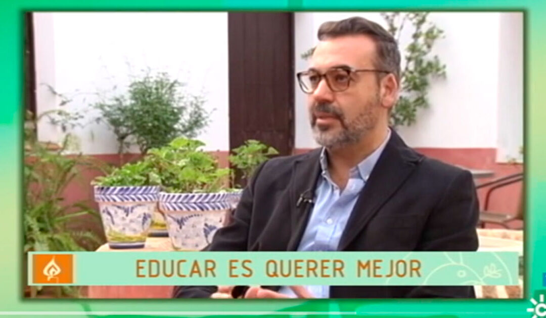 Entrevista al presidente de Adinfa, Ricardo Pardo, en Canal Sur TV